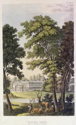 Woburn Abbey, from Ackermann